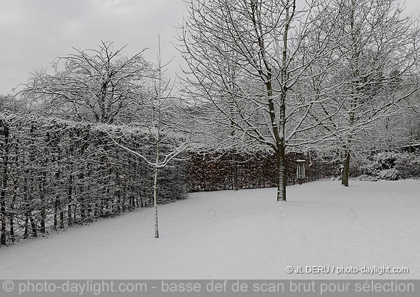 jardin sous la neige